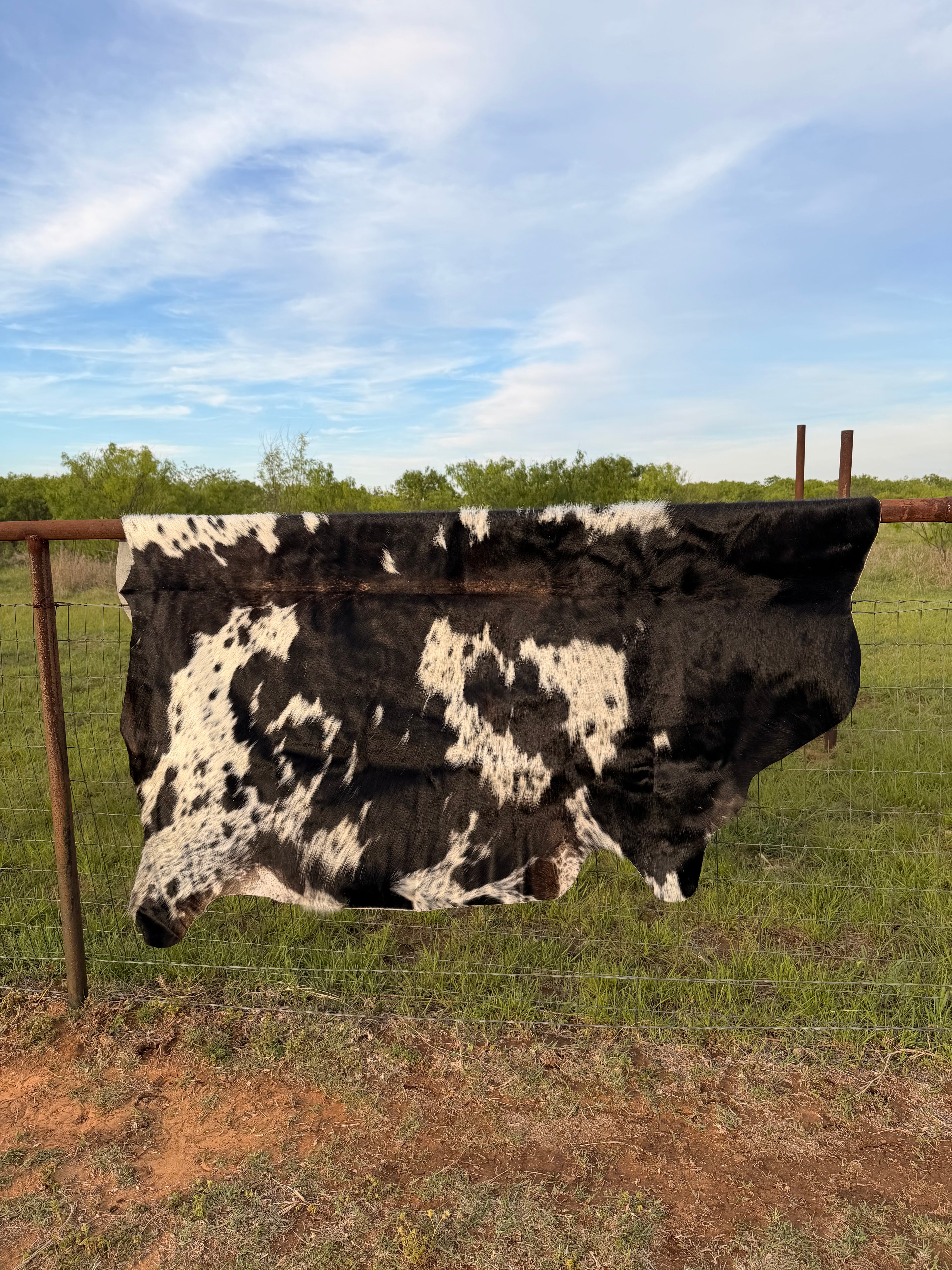 Cow Hide
