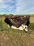 Cow Hide