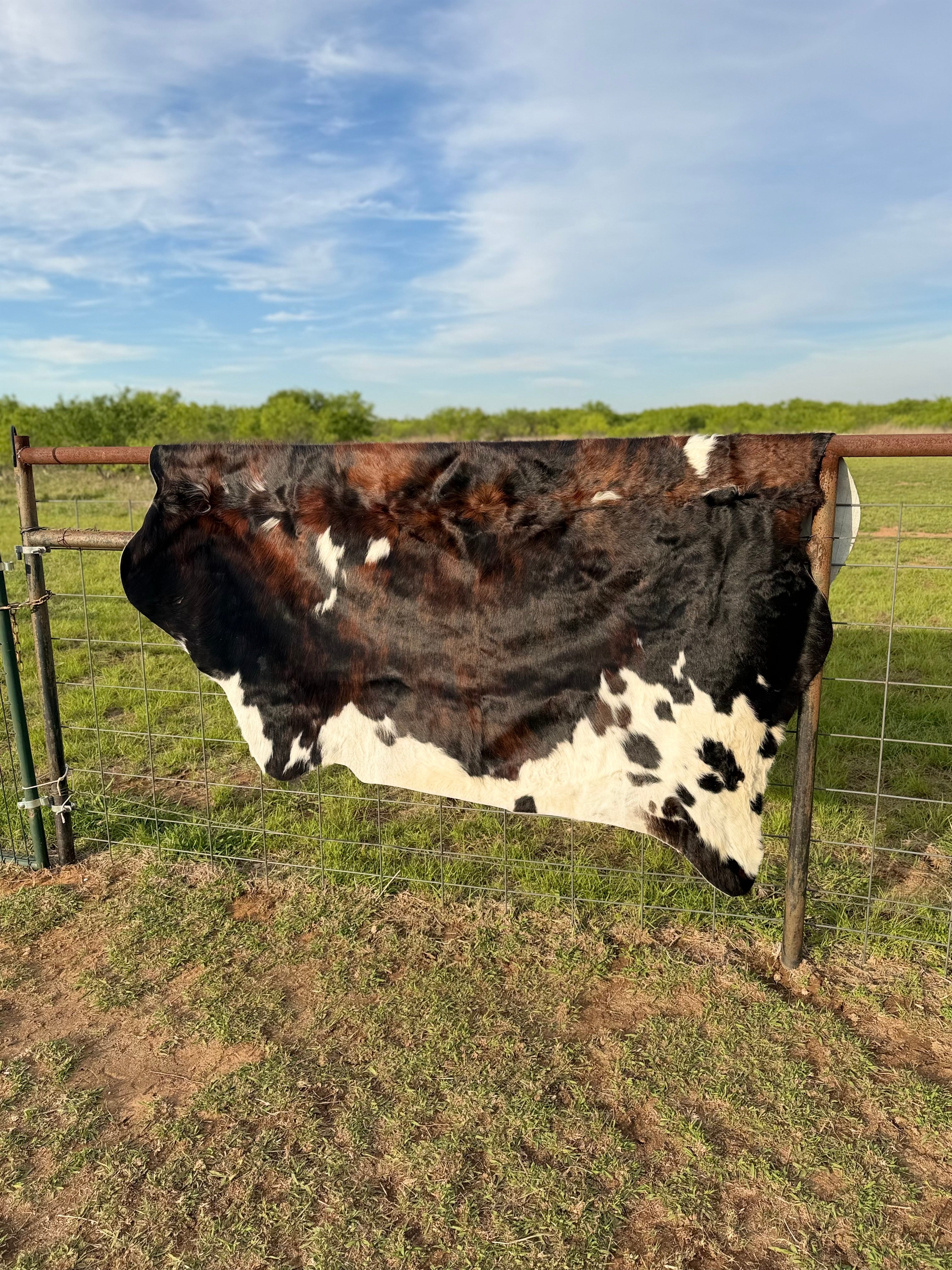 Cow Hide
