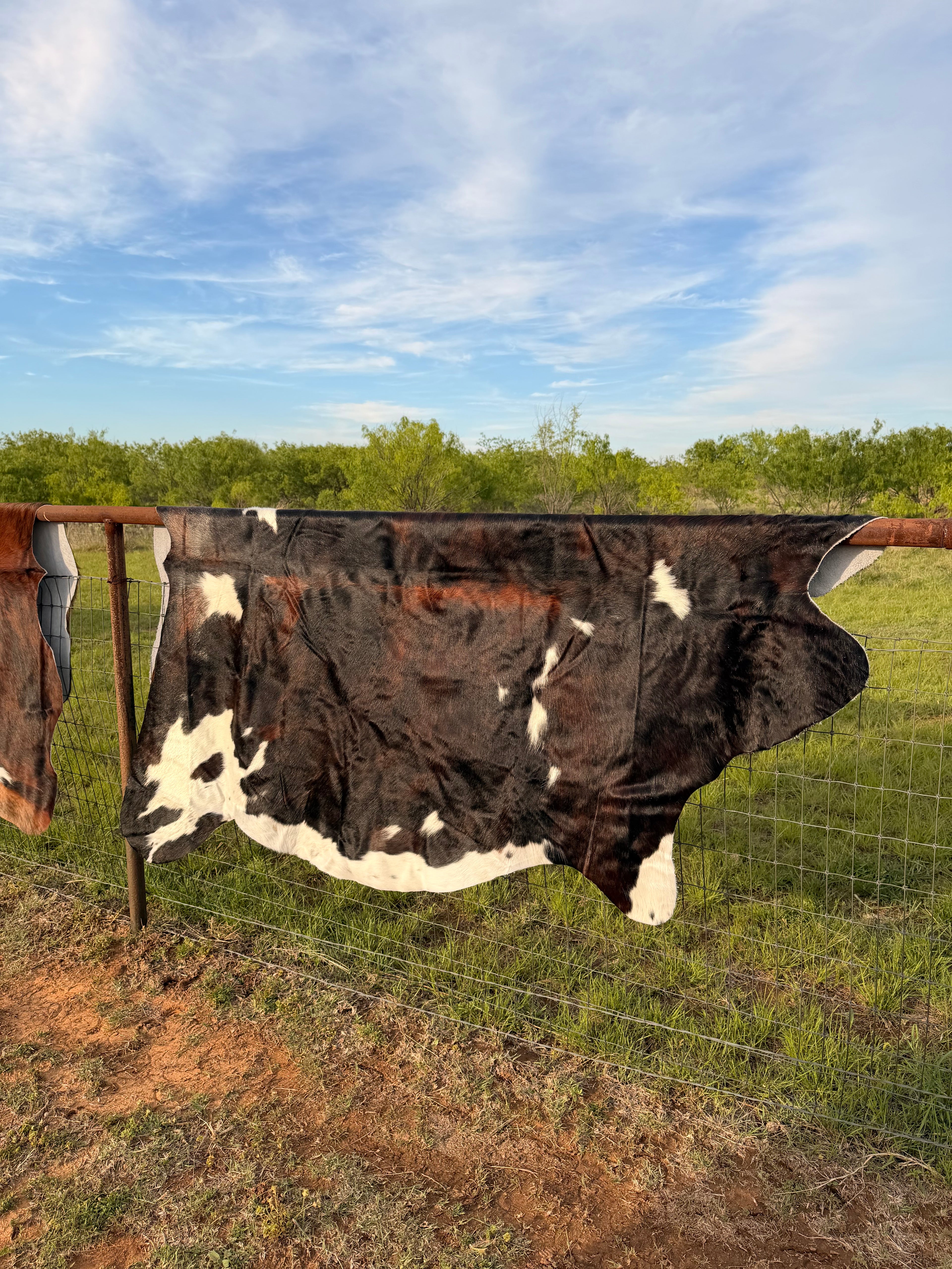 Cow Hide