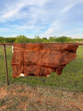 Cow Hide