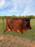 Cow Hide