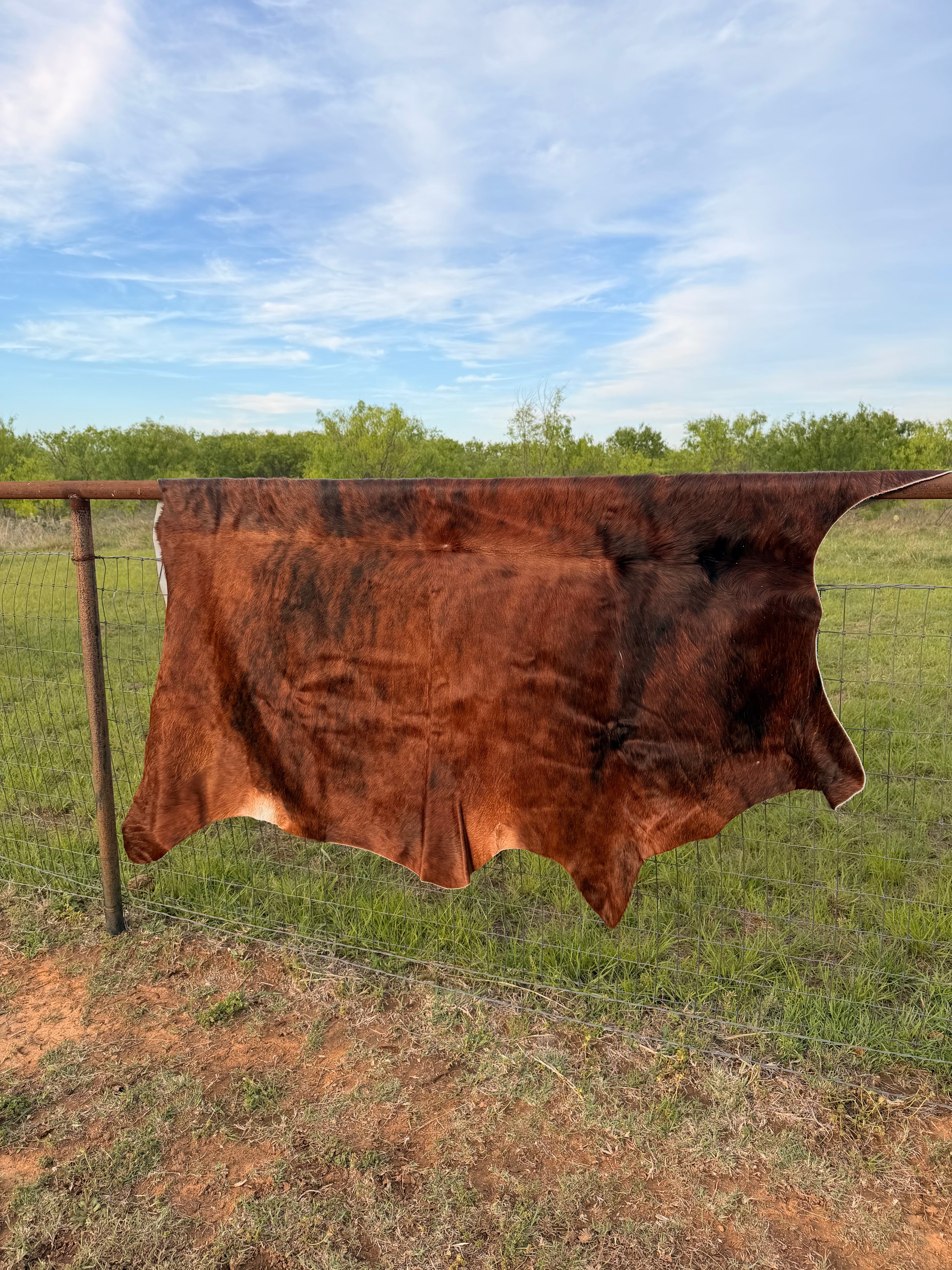 Cow Hide