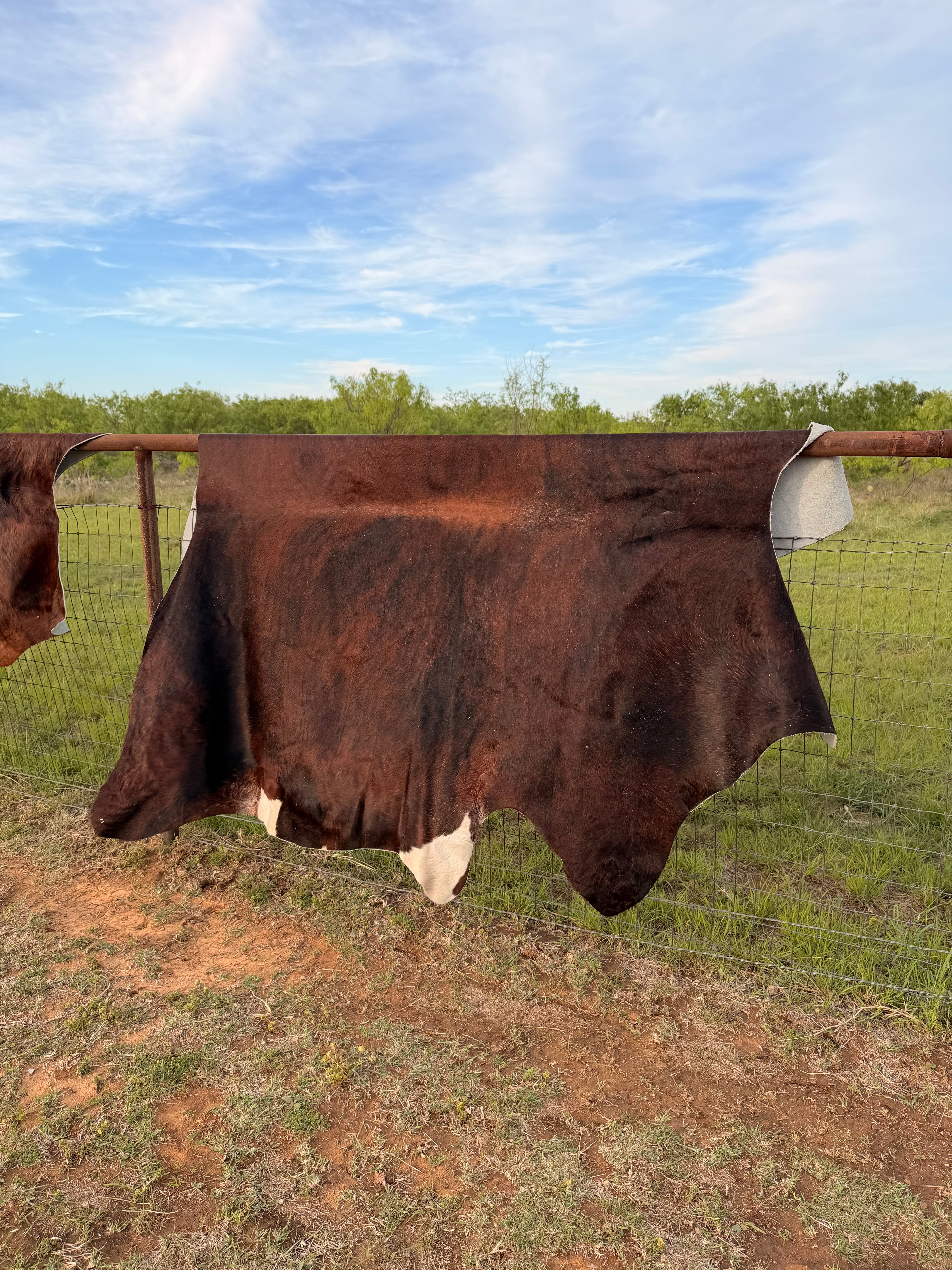 Cow Hide
